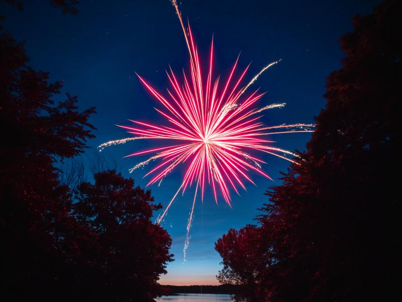 Molti cani e gatti hanno paura dei fuochi d'artificio